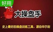 大操盘手训练软件段首LOGO