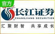 长江证券金长江财智版分析交易系统段首LOGO
