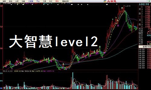 大智慧level2截图