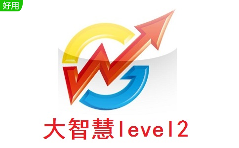 大智慧level2段首LOGO