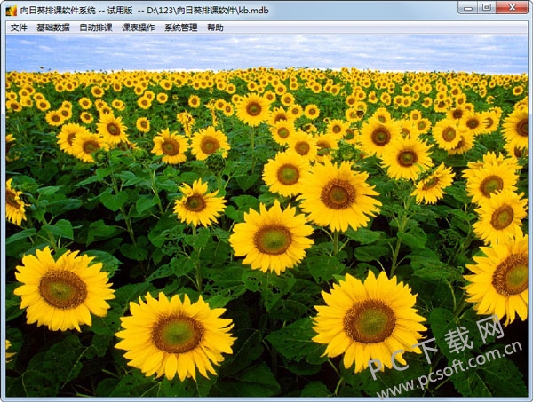 向日葵排课软件截图