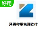 泽恩称重管理软件段首LOGO